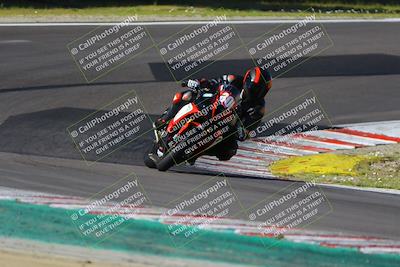 media/Mar-17-2024-Fastrack Riders (Sun) [[c7d6f8c14c]]/Level 3/Turn 6/